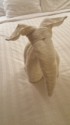 Elephant towel sculpture